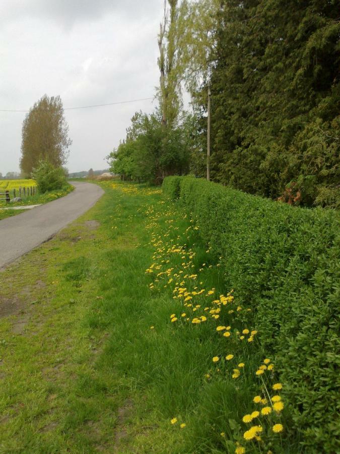 Apartments Zum Brauergang Garz  المظهر الخارجي الصورة