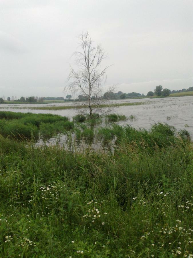 Apartments Zum Brauergang Garz  المظهر الخارجي الصورة