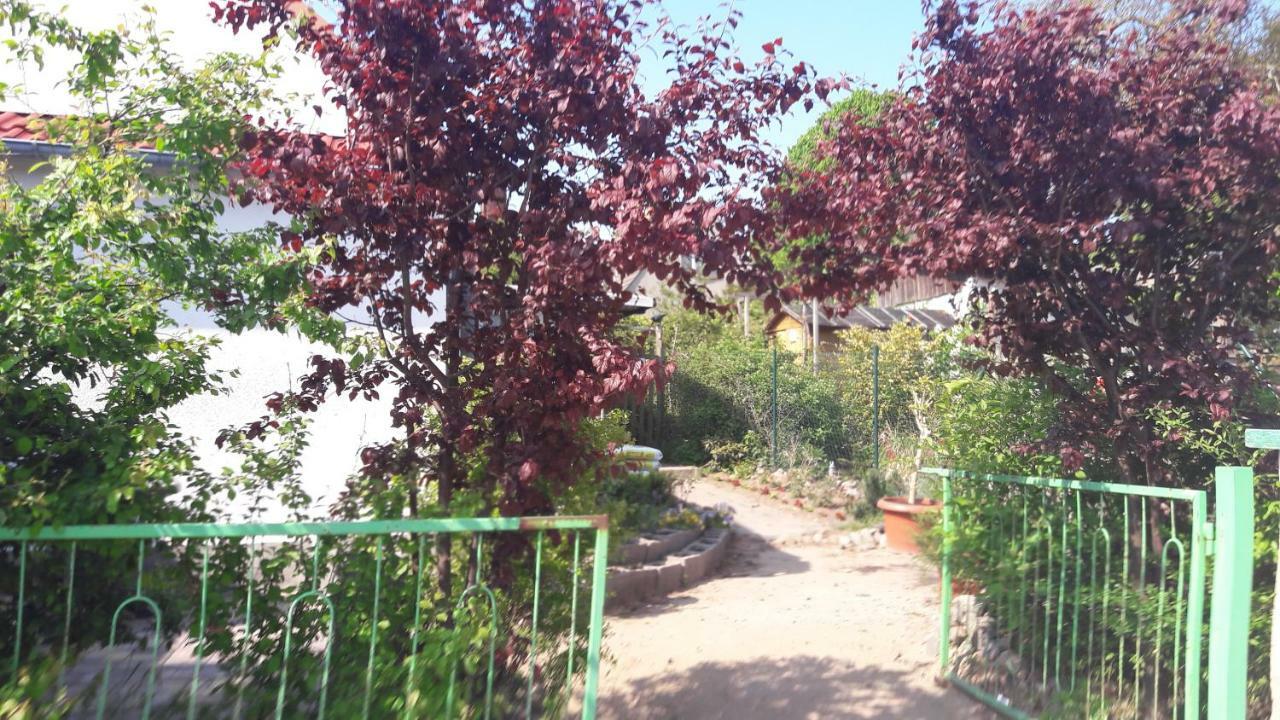 Apartments Zum Brauergang Garz  المظهر الخارجي الصورة